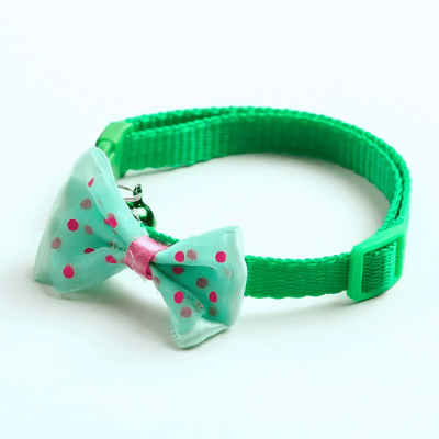 Collier pour chat 3 en 1 - Royaume du chat