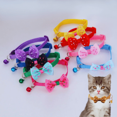 Collier pour chat 3 en 1 - Royaume du chat