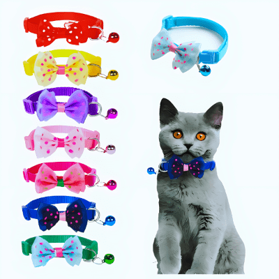 Collier pour chat 3 en 1 - Royaume du chat