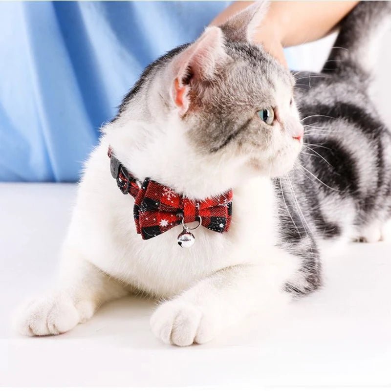 Collier pour chat avec nĆud papillon - Royaume du chat