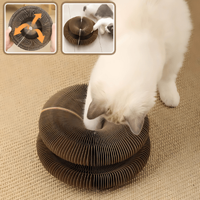 Griffoir pour Chat - GrifToy™ - Royaume du chat