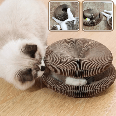 Griffoir pour Chat - GrifToyâą - Royaume du chat