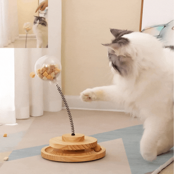 jouet-distributeur-de-friandises-pour-chat-gif