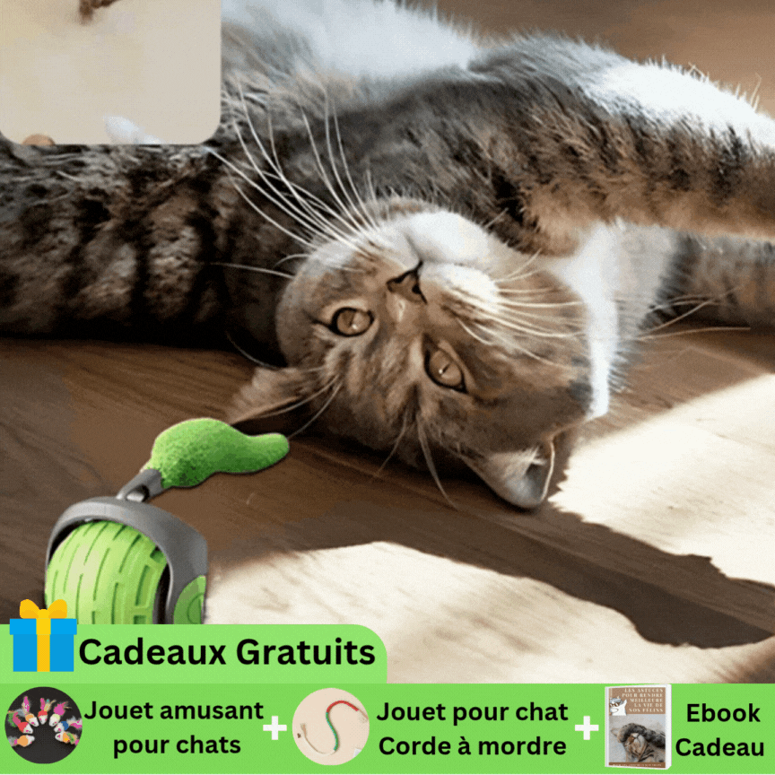 jouet-pour-chat-1-achete-1-offert