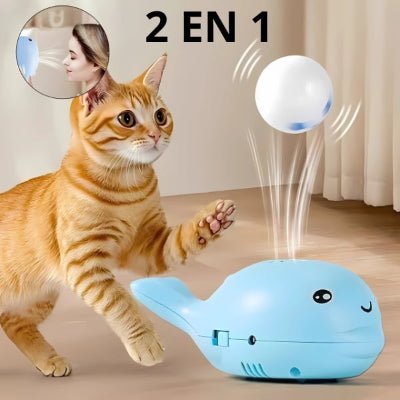 Jouet pour Chat à Balle Flottante - BalFlo™ - Royaume du chat