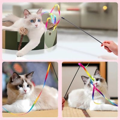 Jouet pour Chat - Canne à Ruban Arc - en - ciel pour Chat - Royaume du chat