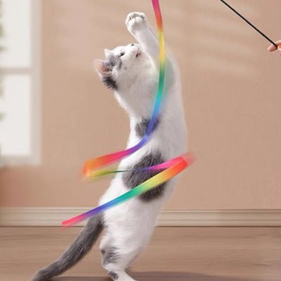 Jouet pour Chat - Canne à Ruban Arc - en - ciel pour Chat - Royaume du chat