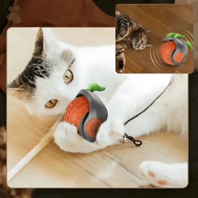 Jouet pour chat - CatHunt+™ - Royaume du chat