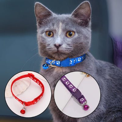 Collier anti étranglement pour chat - CatCol™ - Royaume du chat