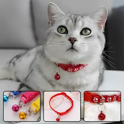 Collier anti étranglement pour chat - CatCol™ - Royaume du chat