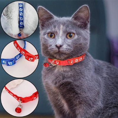 Collier anti étranglement pour chat - CatCol™ - Royaume du chat