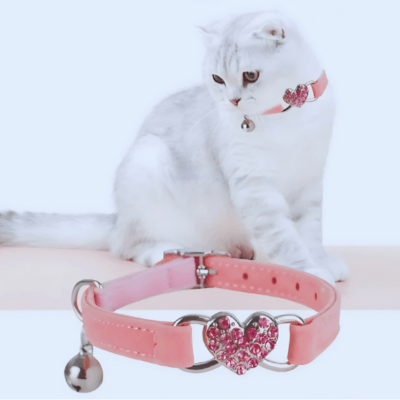 Collier pour chat avec design en cœur - CatLove™ - Royaume du chat
