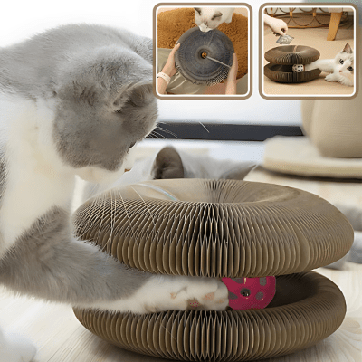 Griffoir pour Chat - GrifToy™ - Royaume du chat