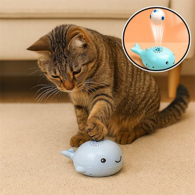 Jouet pour Chat à Balle Flottante - BalFlo™ - Royaume du chat
