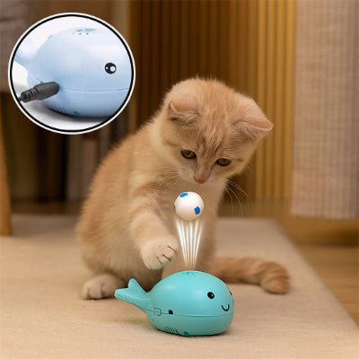 Jouet pour Chat à Balle Flottante - BalFlo™ - Royaume du chat