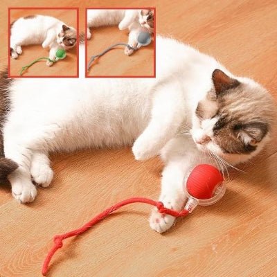 Jouet pour chat - CatHunt™ - Royaume du chat