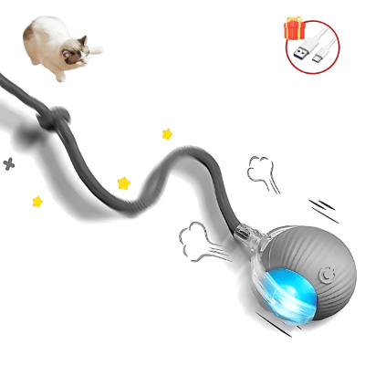 Jouet pour chat - CatHunt™ - Royaume du chat