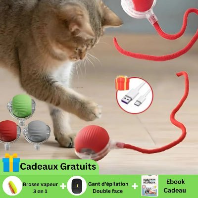Jouet pour chat - CatHunt™ - Royaume du chat