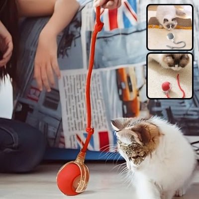 Jouet pour chat - CatHunt™ - Royaume du chat