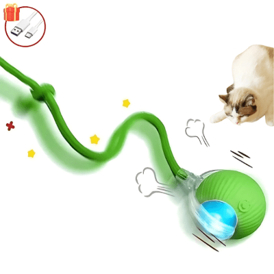 Jouet pour chat - CatHunt™ - Royaume du chat