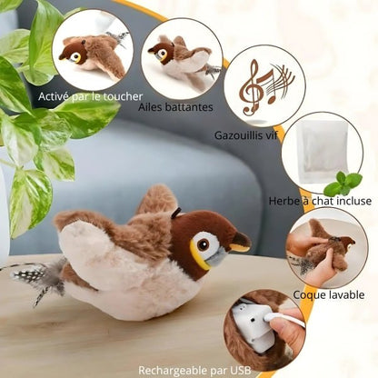 Jouet Pour Chat – FéliFly™ - Royaume du chat