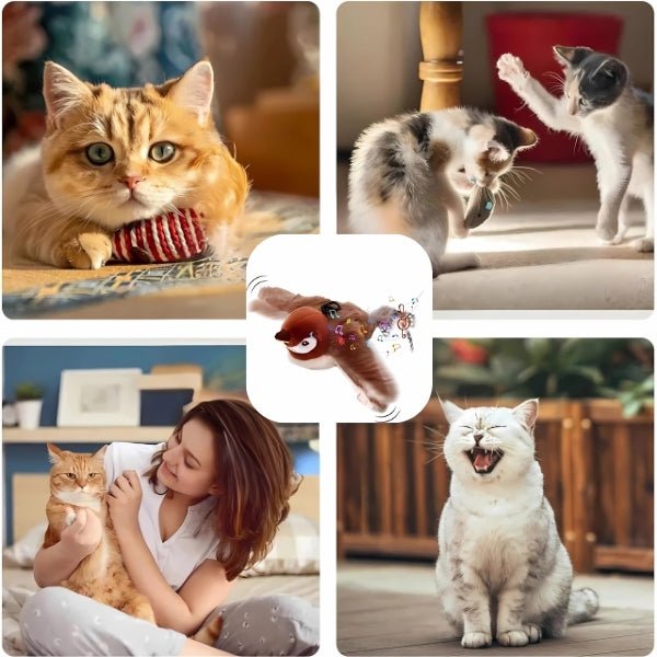Jouet Pour Chat – FéliFly™ - Royaume du chat