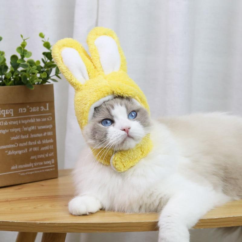 RabbitHat™ - Accessoire de déguisement pour chat - Royaume du chat