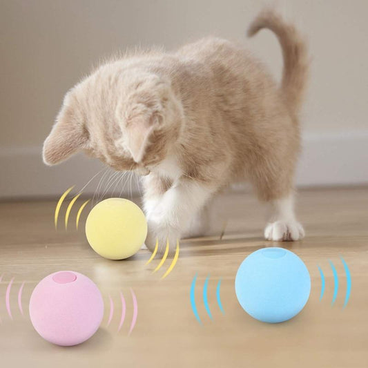SmartBall™ - Balle intelligente d'apprentissage pour chat - Royaume du chat